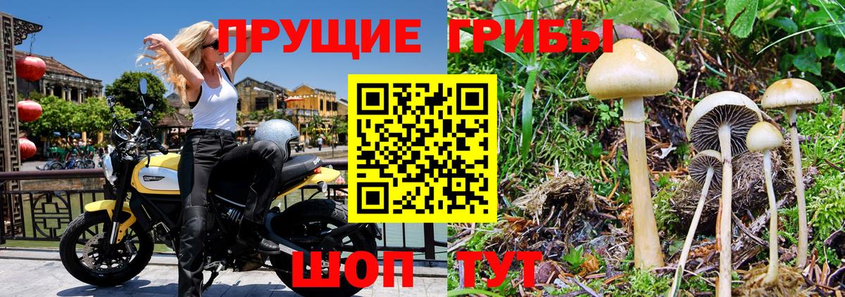 Галлюциногенные грибы Cubensis  Вход с VPN  Конаково 