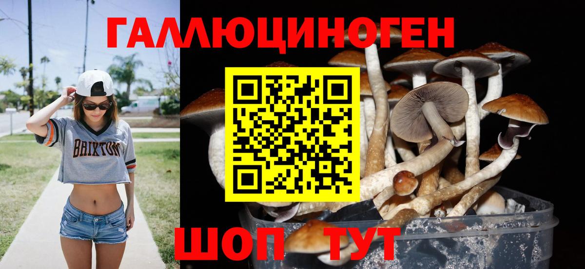 Псилоцибиновые грибы мицелий Конаково